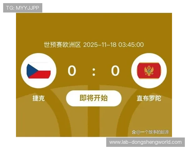 2026年世界杯捷克对墨西哥比赛期间的潜在风险及观众安全保障措施