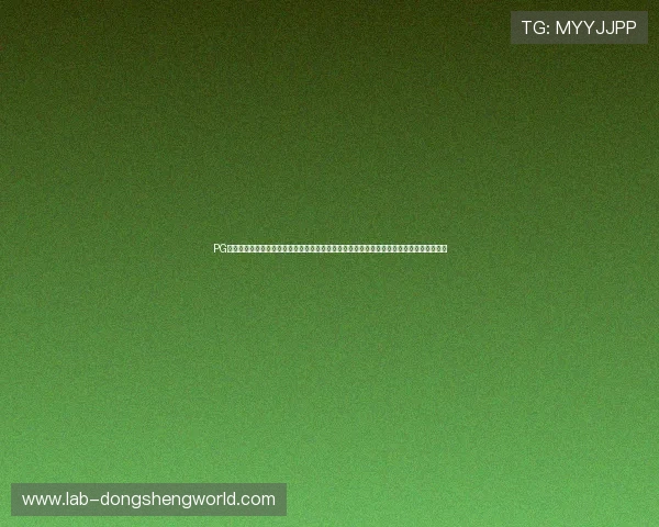 PG娱乐电子城提供丰富的世界杯赛事资讯、赛程安排与实时比分,满足体育爱好者的多样需求